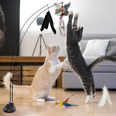 How Many Calories Does a Cat Actually Burn Playing?