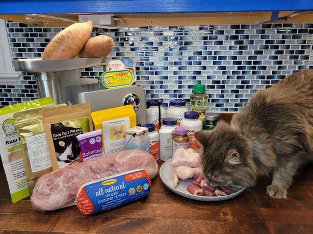 Homemade Cat Food: Calculating Calories So You Don't Accidentally Starve Them