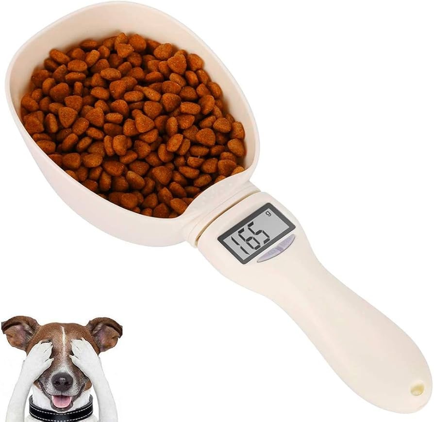 How Much Should I Feed My Cat? A No-Guilt Guide to Portion Sizes
