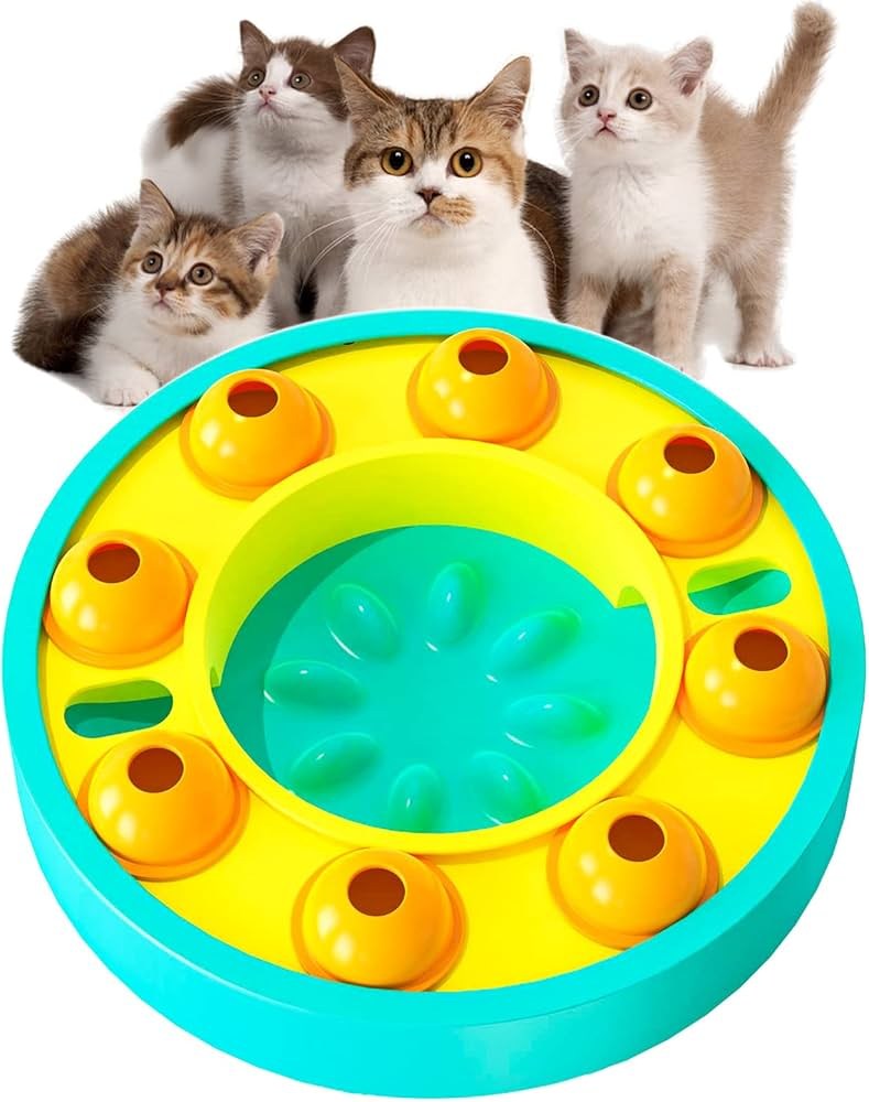 A Realistic Diet Plan for Overweight Cats (That Doesn't Make Them Hate You)