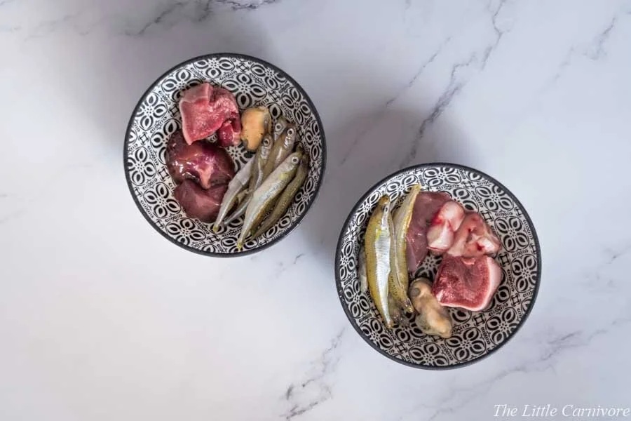 Raw Diets for Cats: Protein, Calories, and the Risks No One Mentions