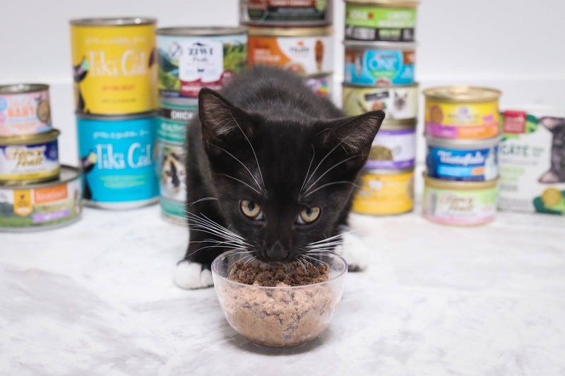 The Wet Food Lie: What the Can Actually Says