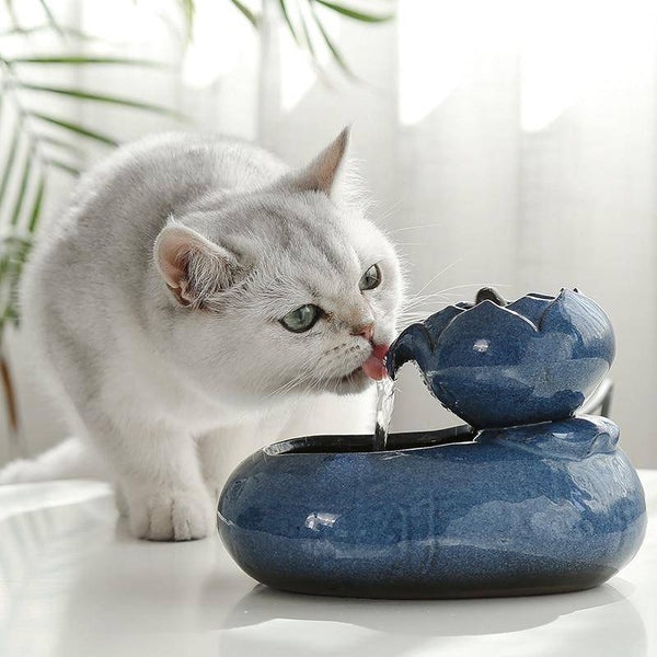 Is Your Cat Drinking Enough? The Water Math Nobody Talks About